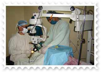 Surgical Retina